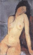 Amedeo Modigliani Seted Nude (mk39) oil painting